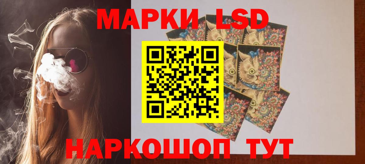 blacksprut вход  ЛСД экстази ecstasy  Лсд 25 экстази ecstasy  Вход с VPN  Елизово  ЛСД экстази 