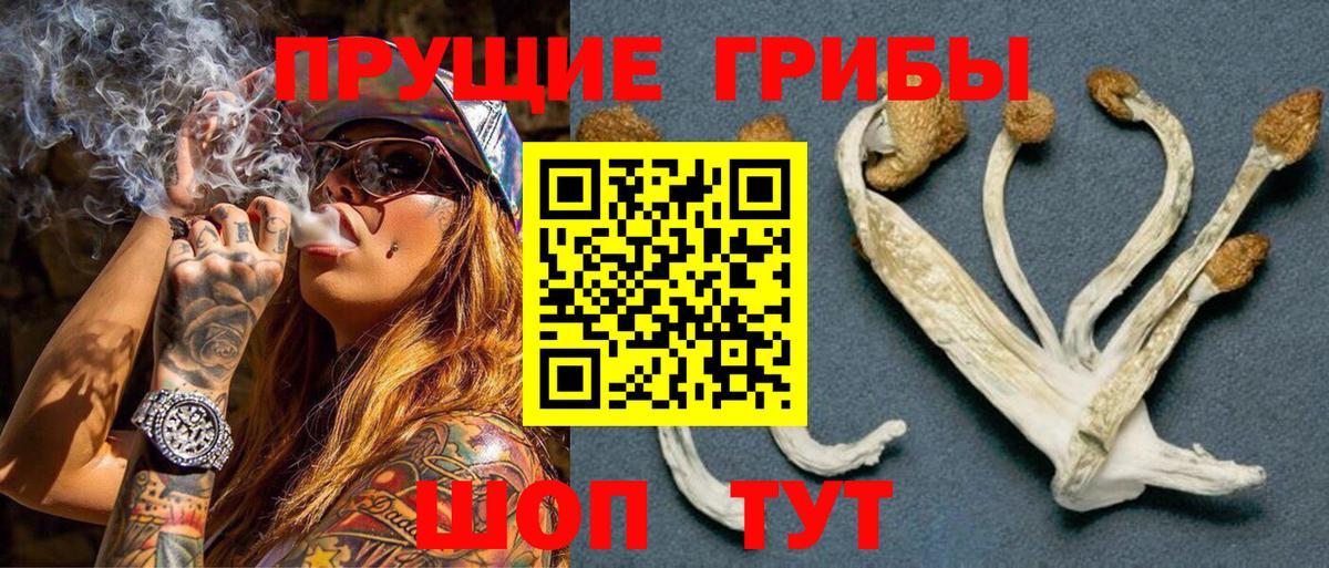 Елизово  Псилоцибиновые грибы GOLDEN TEACHER  Галлюциногенные грибы ЛСД  Вход с VPN 